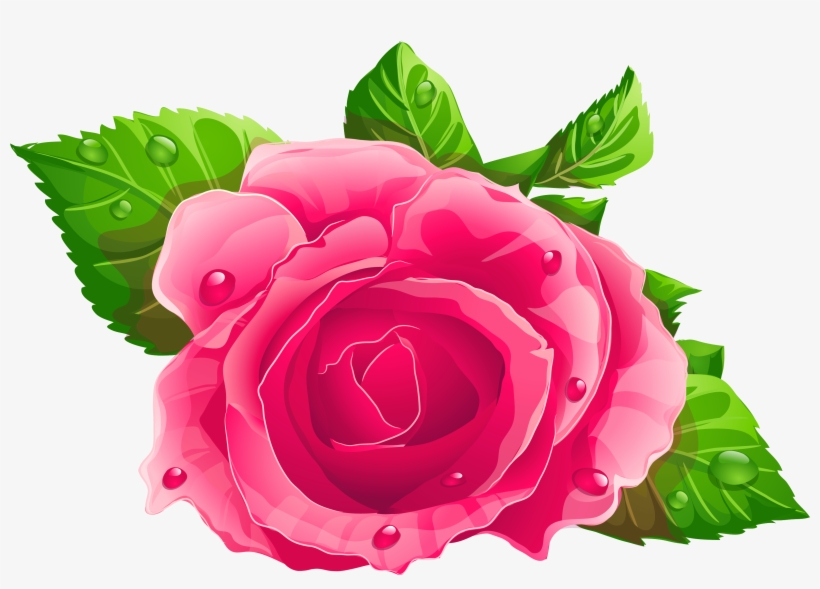 Pink Rose Clipart Png, transparent png