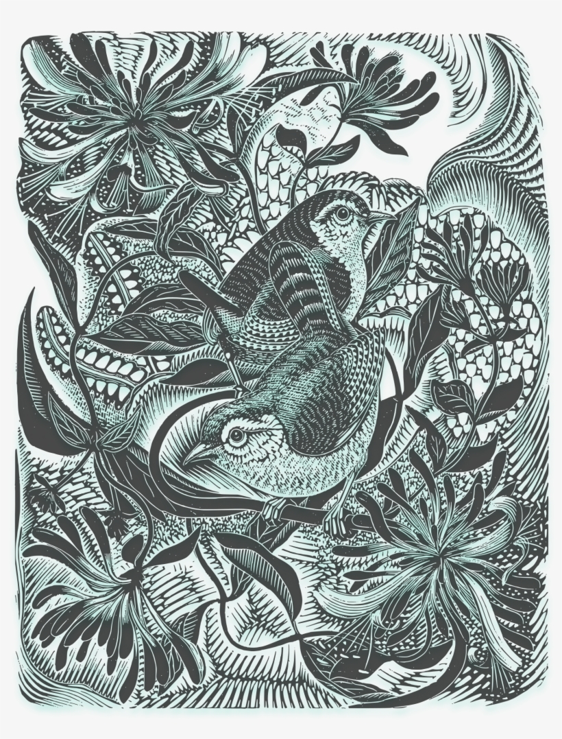 Drawing Forest Watercolor Painting Tree Bamboo - English Wood-engraving 1900-1950, transparent png