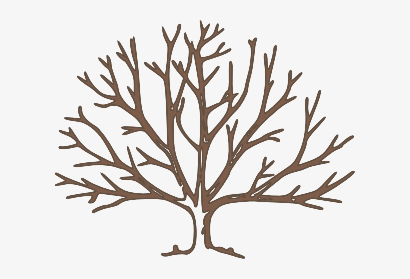Pix For Bare Tree Template - Dharma Reader : Classical Indian Law, transparent png