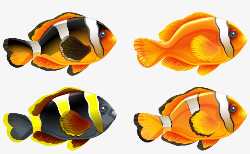 Picture Library Png Pinterest Fish Clip Art And - Fish, transparent png