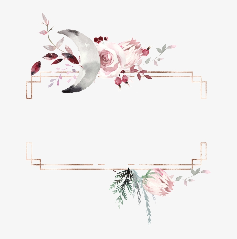 This Graphics Is Creative Bird Box Transparent Watercolor - 성규 콘서트 티켓 금액, transparent png