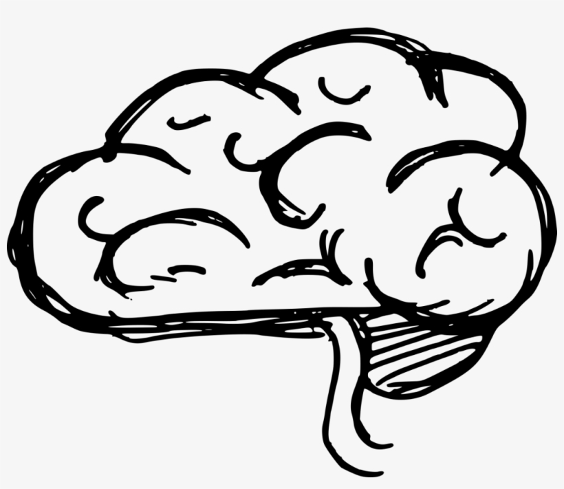 Png File Size - Logo Png Transparent Brain, transparent png