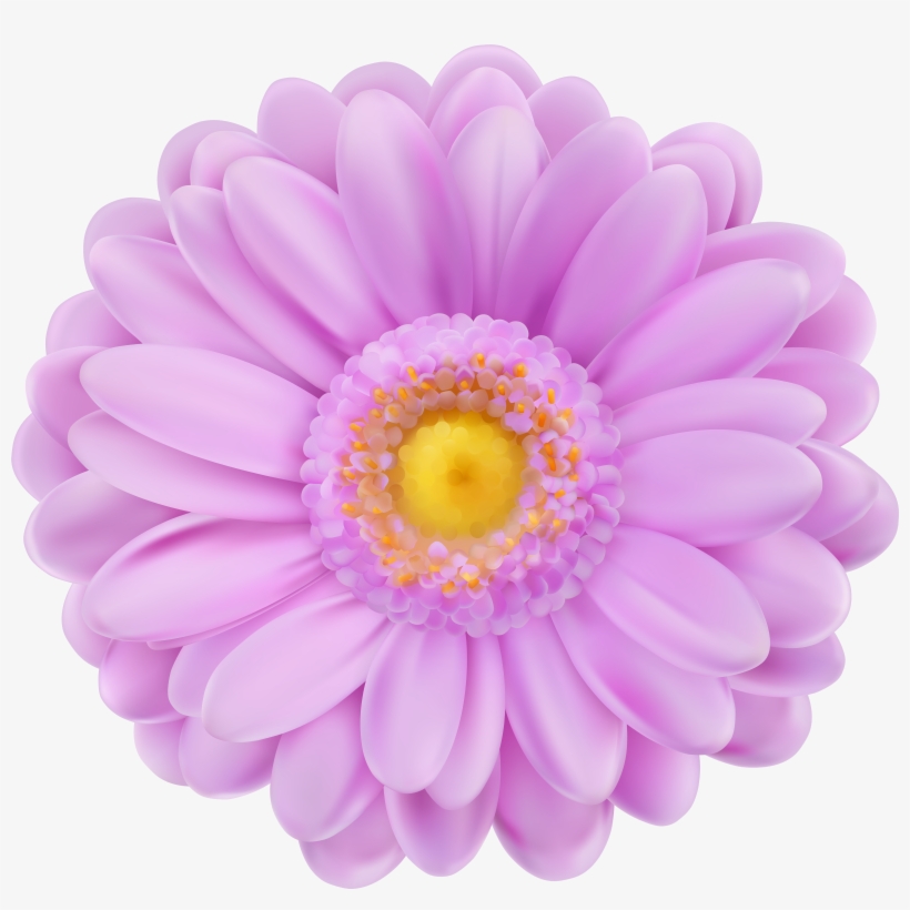 Clip Free Stock And Flowers Png Pngpluspngcom - 3d Flower, transparent png