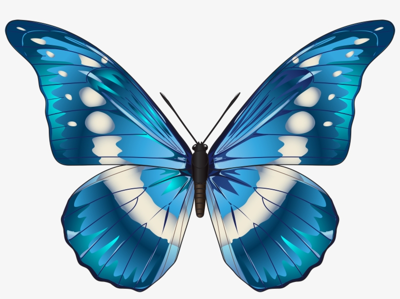 Butterfly Blue Png Clip Art Image - Butterfly, transparent png