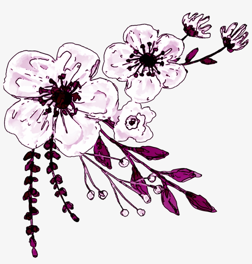 Watercolor White Flower Clipart - Logo De Ministerio De La Mujer Adventista, transparent png