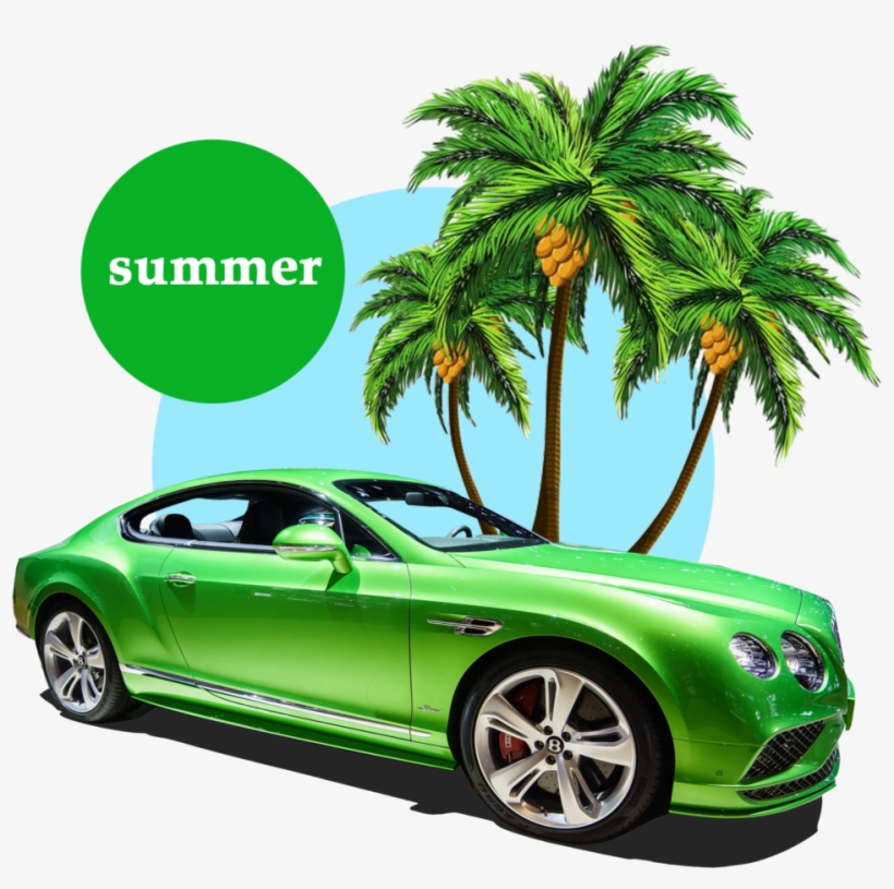 Free Summer Palm Tree Png - Summer Png, transparent png