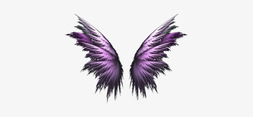 Angel Wings Png - Purple Angel Wings Png, transparent png