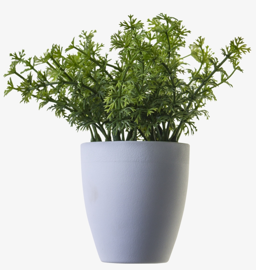 Free Icons Png - Plant In Pot Png, transparent png