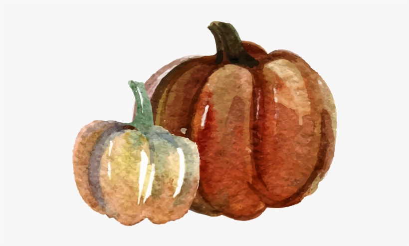Pumpkin Watercolor Painting - Png Pumpkin Water Color, transparent png