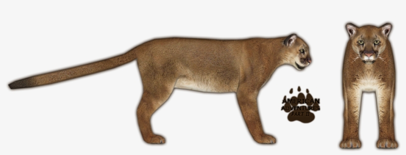 Mountain Lion - Zoo Tycoon 2 Mountain Lion, transparent png