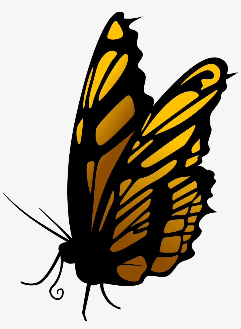 Butterfly Png Clip Art, transparent png