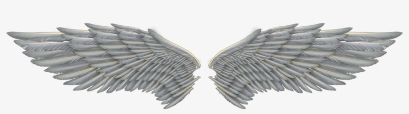 White Png Image Arts - Transparent Angel Wing Png, transparent png
