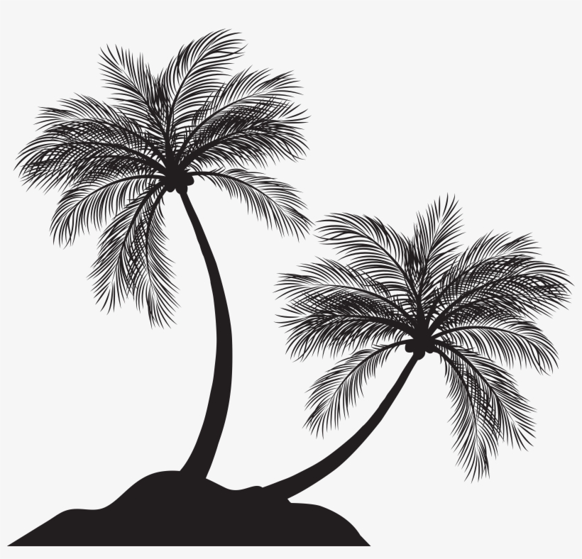 Palm Tree Png, transparent png