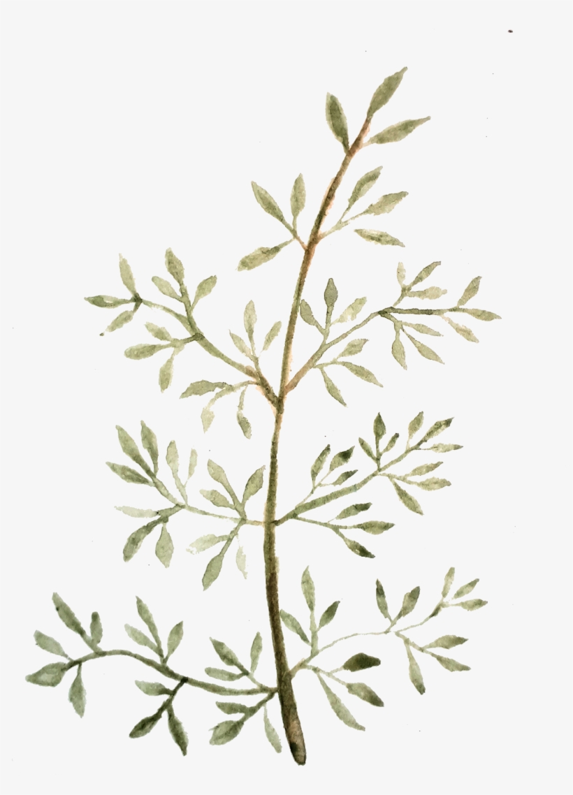 Watercolor Painting Graphic Design Leaf Drawing - Watercolor Painting, transparent png