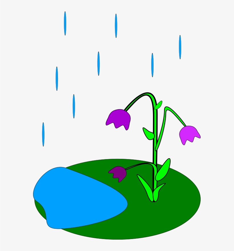 Rain Flowers Clip Art Raining Clipart Animated 438x597 PNG Download