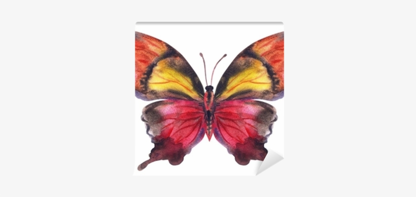 Maroon-yellow Butterfly, Watercolor Painting - Watercolor Painting, transparent png