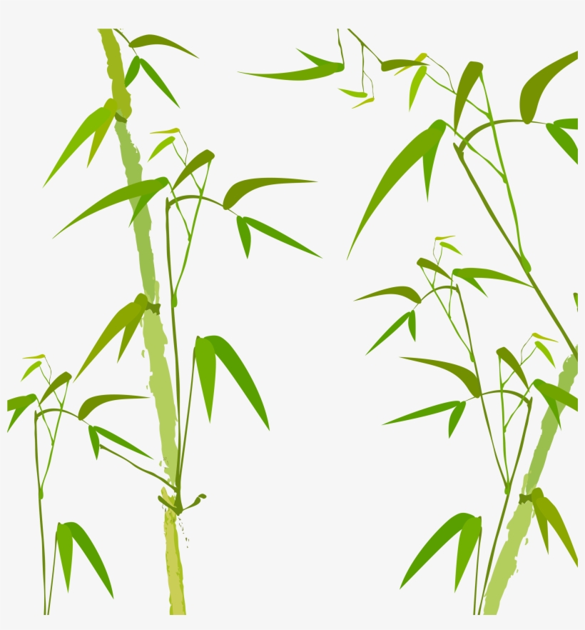 Png Bamboo Vector Freeuse - Green Bamboo Png, transparent png