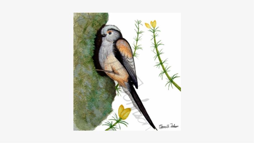 Watercolor Painting, transparent png