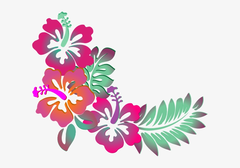 Watercolor Flowers Border Png - Clipart Hibiscus, transparent png