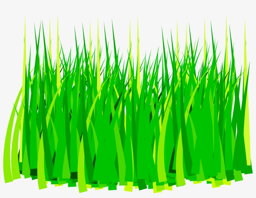 Grass Png, transparent png