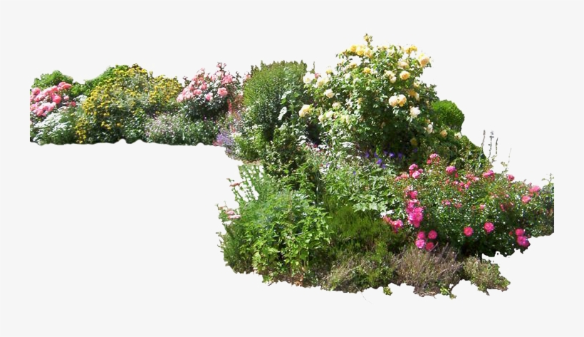 Plants Png Photo - Garden Png, transparent png