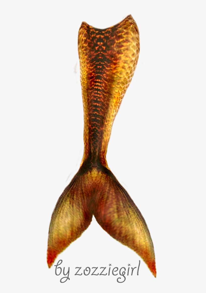 Mermaid Tail Transparent - Mermaid Tail Transparent Png, transparent png