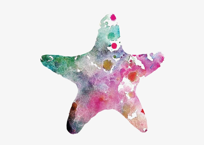 Painting Drawing Transprent Png Free Download Pink - Watercolor Seashells And Starfish Png, transparent png