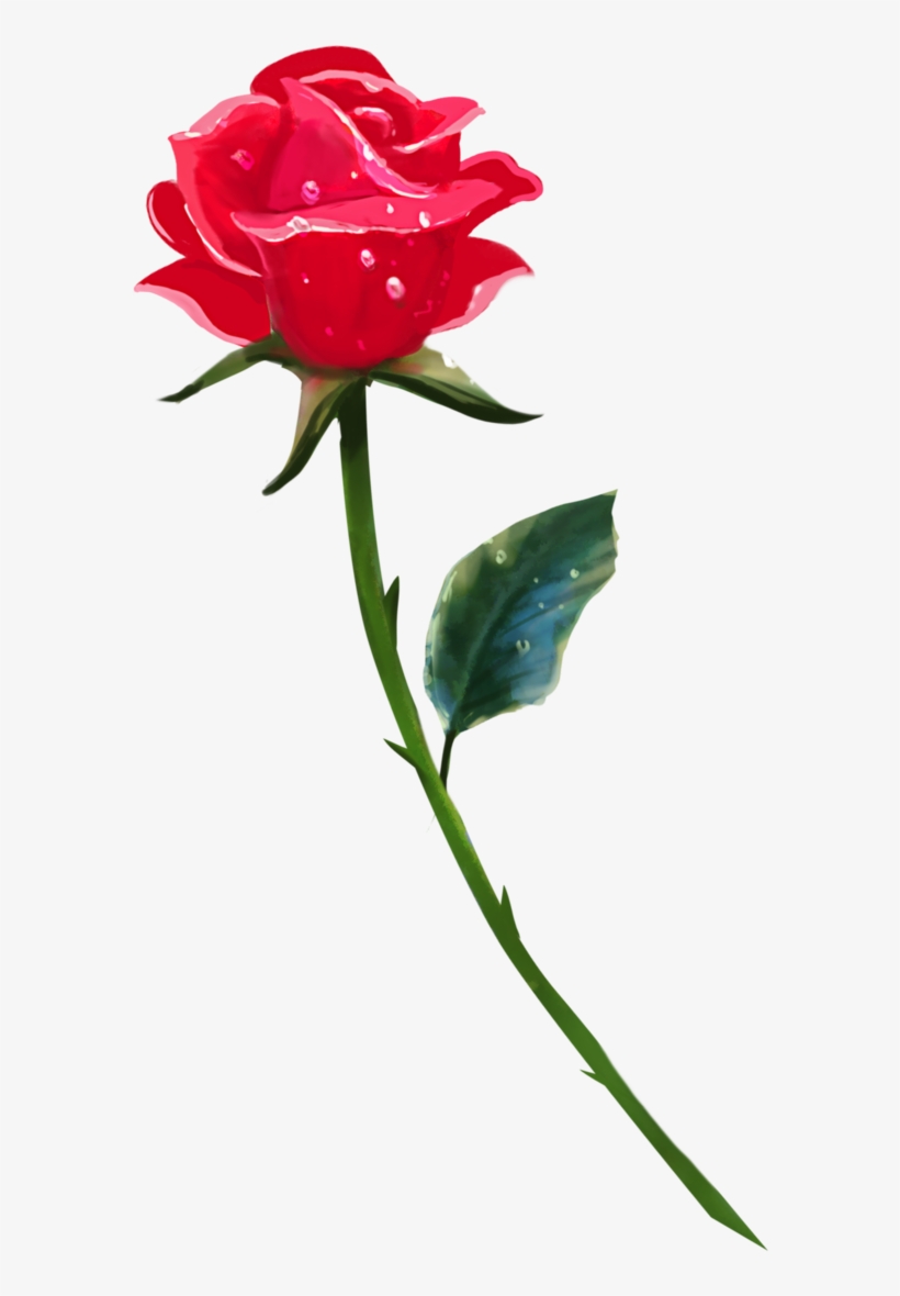 Single Rose Png Background Image - Single Rose Png, transparent png