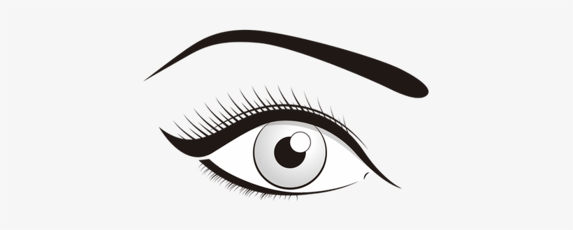 Transparent Library Cartoon Images Of Eyelashes Full - Eyelash, transparent png