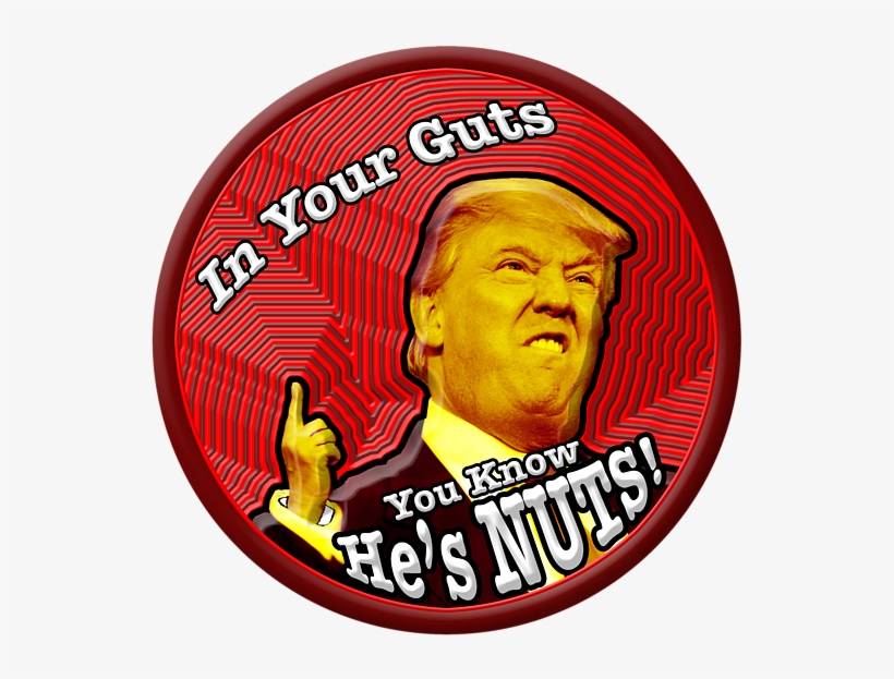 Bleed Area May Not Be Visible - Trump The Antichrist? [book], transparent png