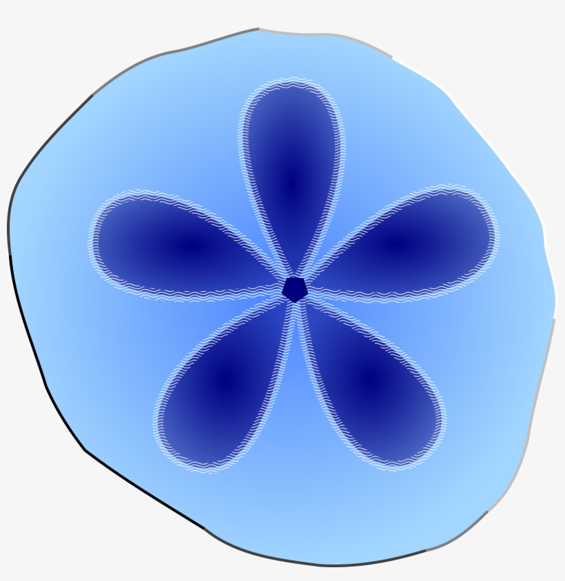 Sand Dollar Svg Clip Arts 600 X 589 Px, transparent png