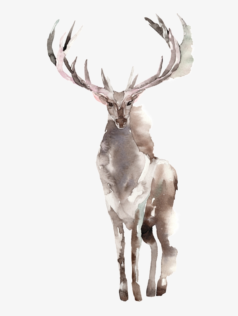 Creative Elk Design Transparent Watercolor - Design, transparent png