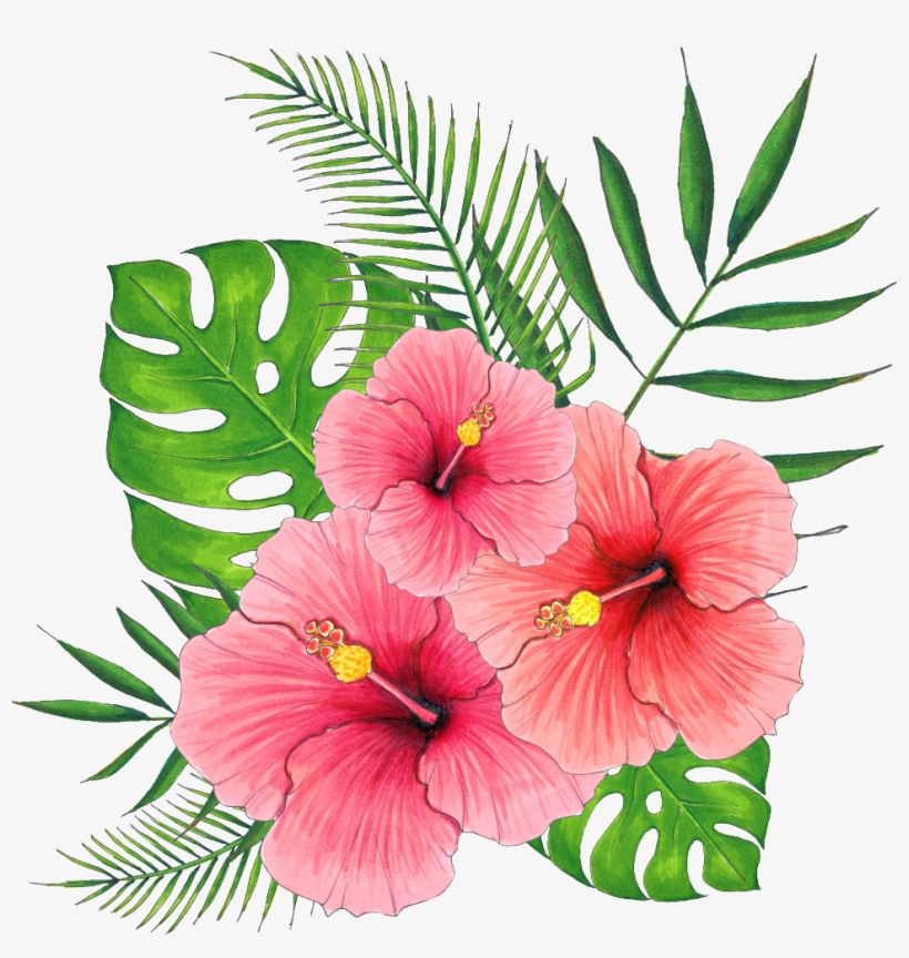 Hand Painted Summer Hibiscus Flower Png Transparent - 扶桑 花 Png, transparent png