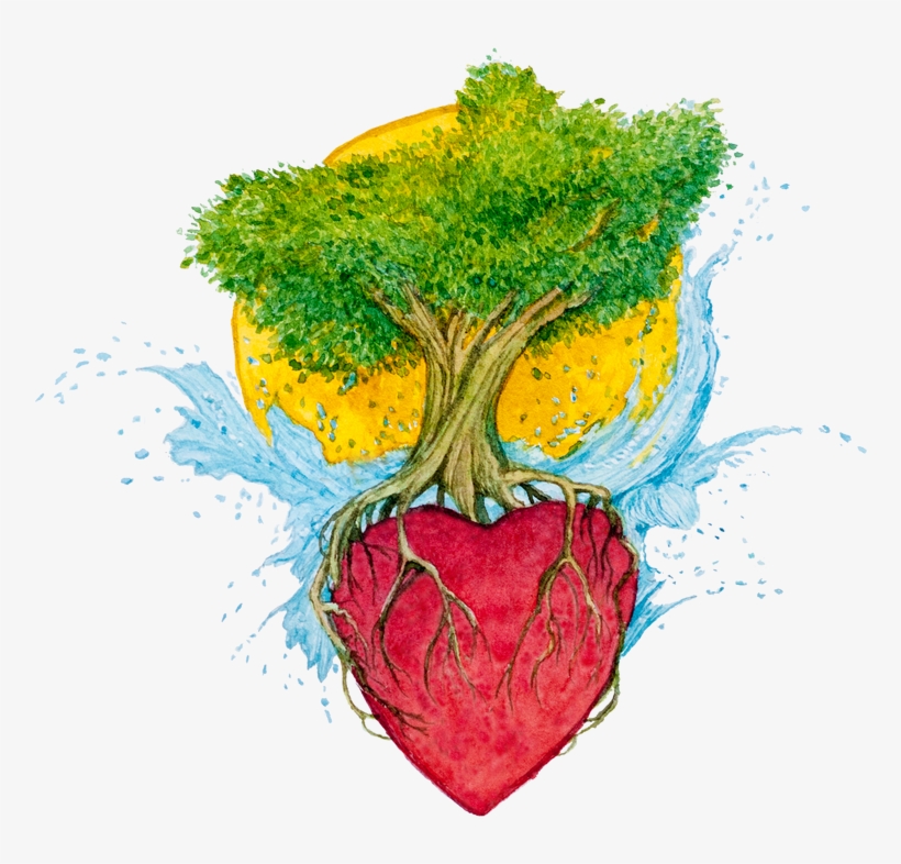 Lecture On Natural Food & Workshop Fermentation - Illustration, transparent png