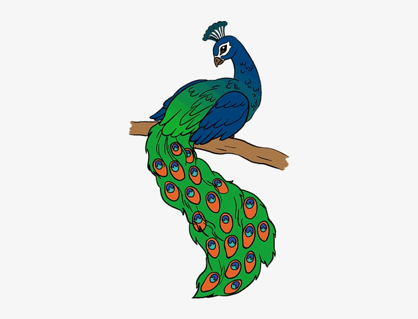 How To Draw A Peacock In A Few Easy Steps - Easy Drawing Of Peacock, transparent png