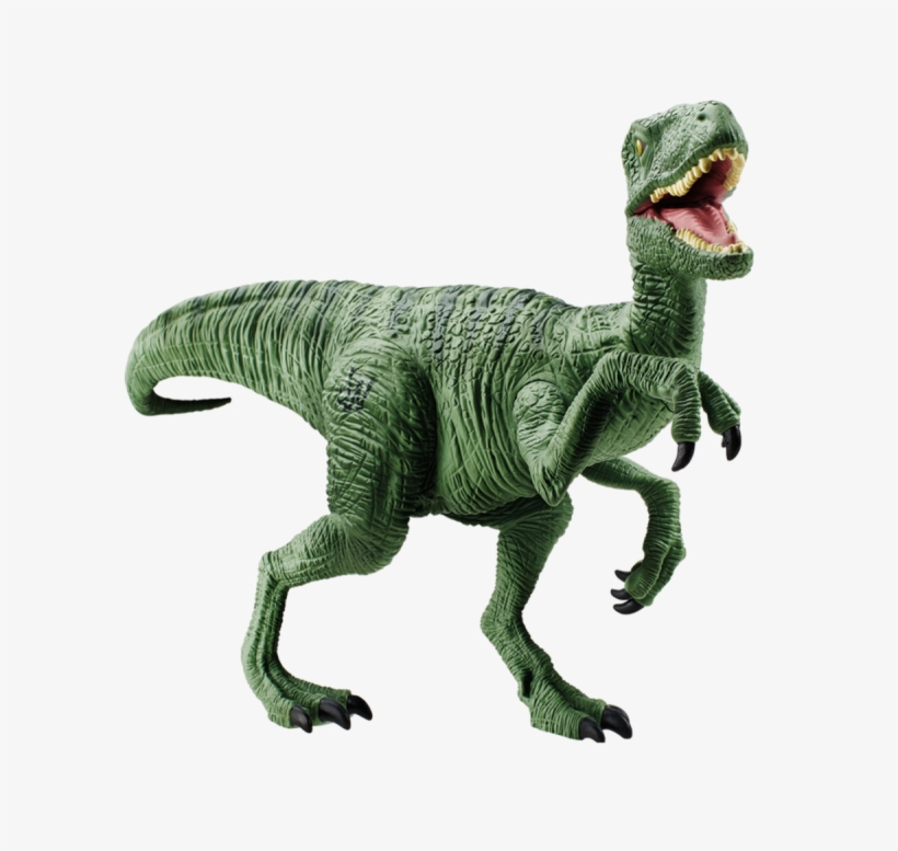 Dinosaur Png Image - Velociraptor Jurassic World Charlie, transparent png