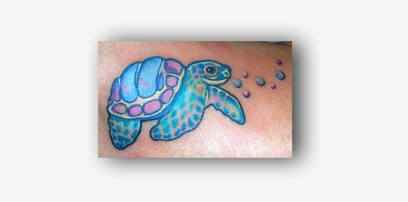 Green Sea Turtle, transparent png