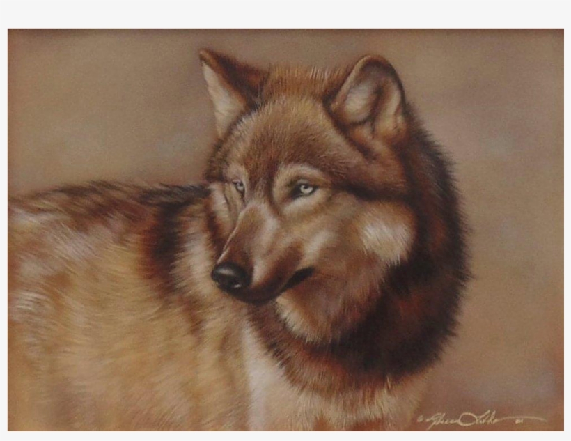 Caught His Eye Wolf, Original Watercolor Painting By - Watercolor Painting, transparent png