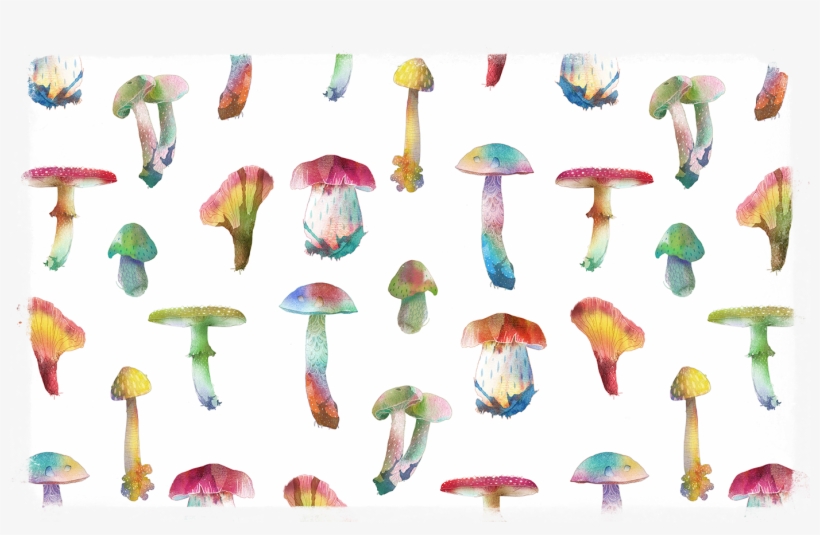 Flamingo - Agaric, transparent png