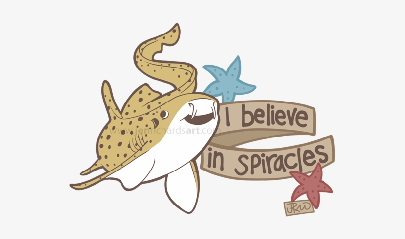 Elasmobranch Clipart Watercolor - Jen Richards, transparent png