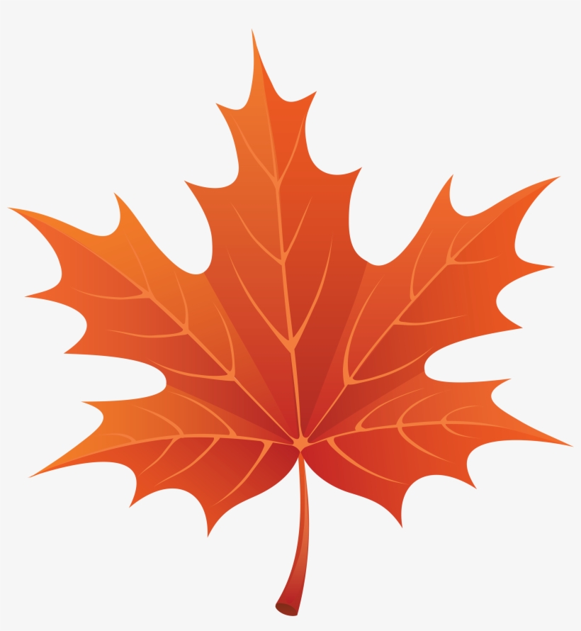 Foliage Clipart Fall Leaves - Leaf Clipart, transparent png