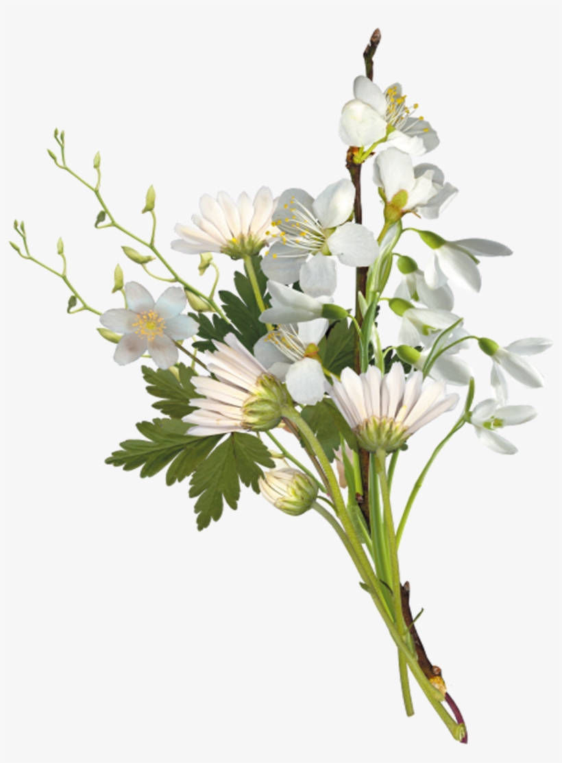 Flower Bouquet Chess 2017 Clip Art - White Small Flowers Png, transparent png