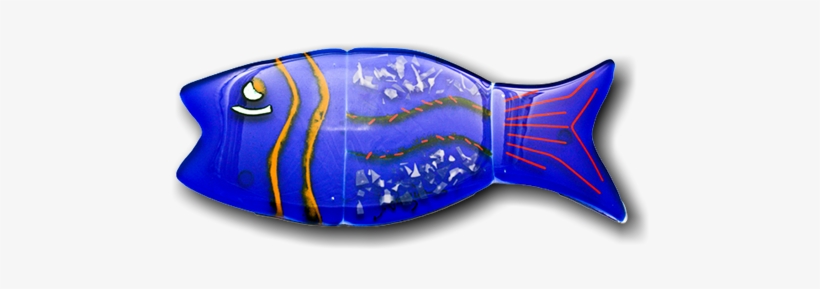 Coral Reef Fish, transparent png