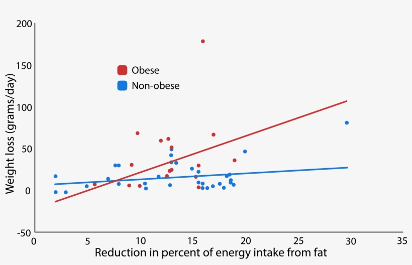 The Effects Of High-fat Diet On Weight Loss - Plot, transparent png
