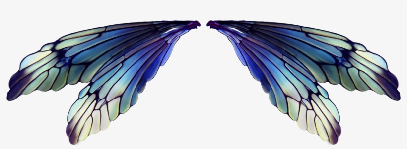 Visit - Fairy Wings Transparent Background, transparent png
