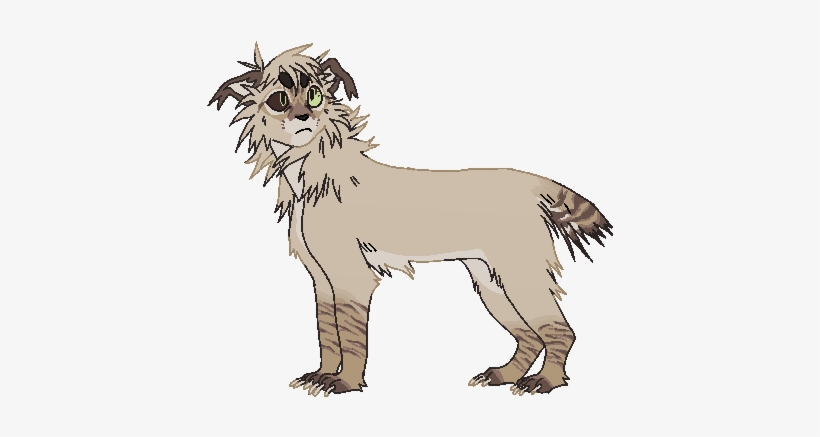 Dustythorns Highrisers Wiki Fandom Powered By Wikia - Masai Lion, transparent png