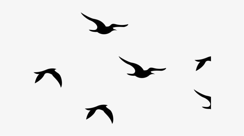 Flying Bird Clipart Bird Png - Portable Network Graphics, transparent png