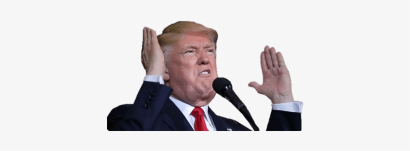 Donald Trump Argument - Donald Trump, transparent png