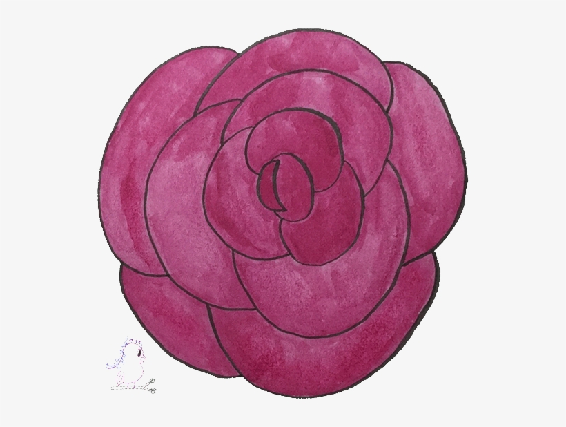 Rose Drawing Visit Craftyjbird - Persian Buttercup, transparent png
