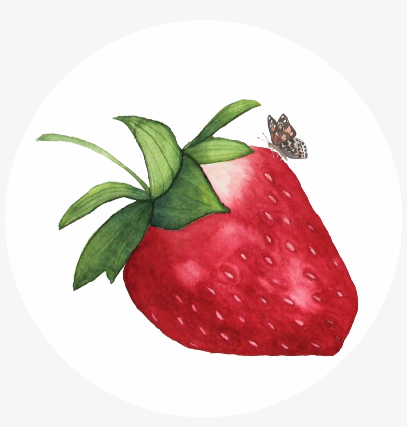 My Giant Strawberry, Strawberry Illustration, Butterfly, - Watercolor Strawberry Png, transparent png